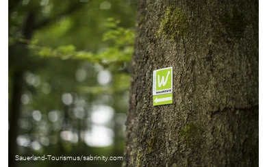 Markierungszeichen Sauerland-Waldroute