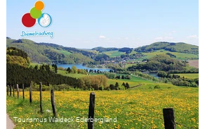 Der sommerliches Panoramaausblick auf den Edersee.